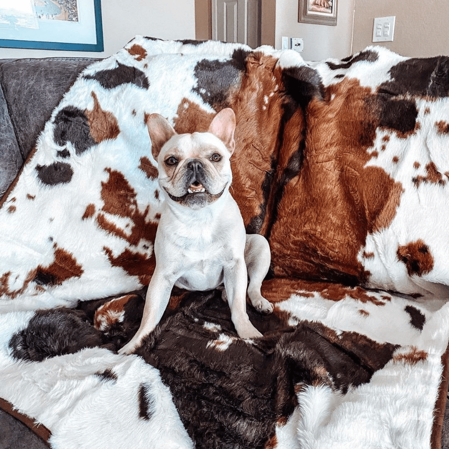 Paw.com PupProtector Waterproof Throw Blanket, Brown Faux Cowhide