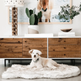 Load image into Gallery viewer, PupRug by Paw.com faux fur orthopedic dog bed, curve white with brown accents, in a living room with a fluffy rug.
