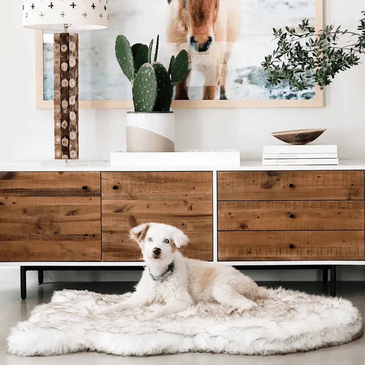 PupRug by Paw.com faux fur orthopedic dog bed, curve white with brown accents, in a living room with a fluffy rug.