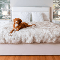 Load image into Gallery viewer, PupProtector Waterproof Throw Blanket by Paw.com; white fluffy blanket with brown accents on bed
