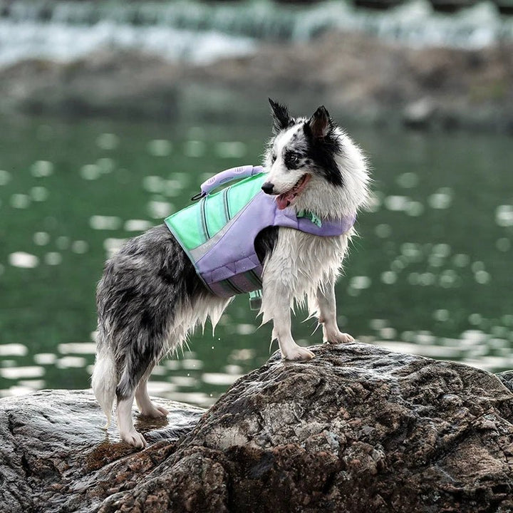 TrueLove Reflective Dog Life Jacket with Rescue Handle TLY1951