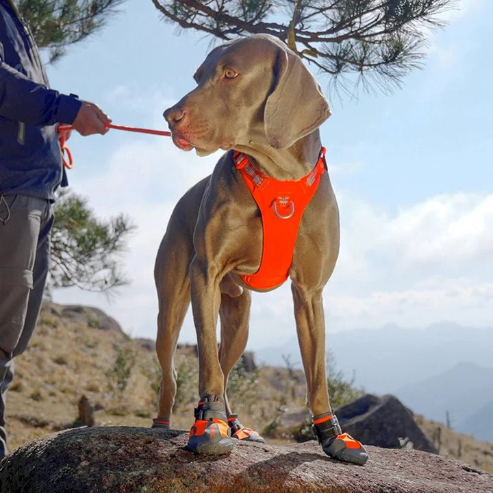 TrueLove Anti-Slip Waterproof Dog Boots TLS3961