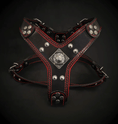 Load image into Gallery viewer, The ''Eros'' harness Black & Red Small to Medium Size - Pet Collars & Harnesses from Bestia Dog Gear
