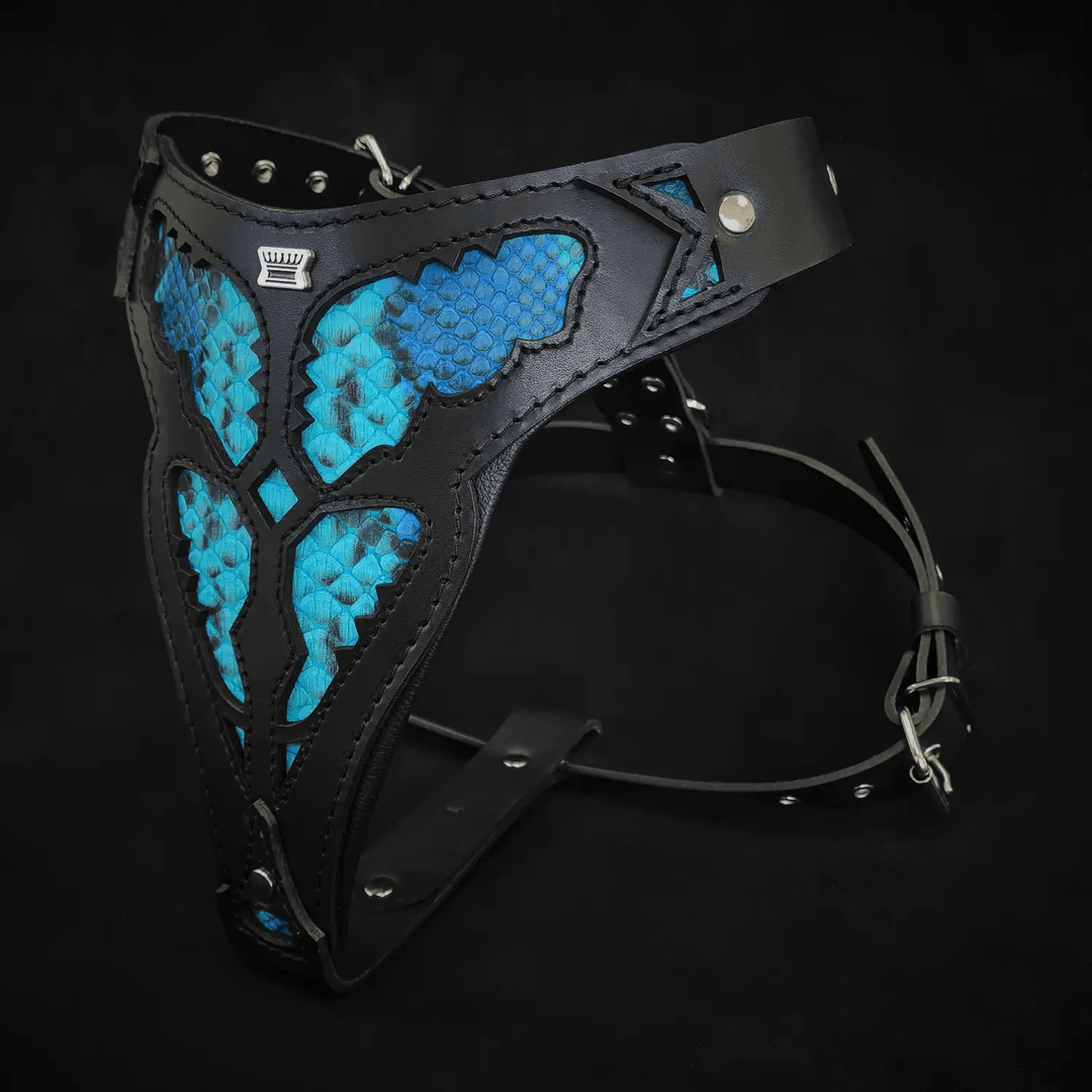 Bestia Morelia Python blue leather dog harness, side view with straps
