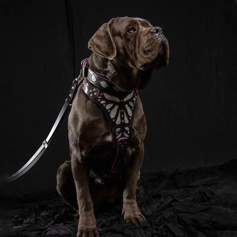 The "Ariel" collar - Pet Collars & Harnesses from Bestia Dog Gear