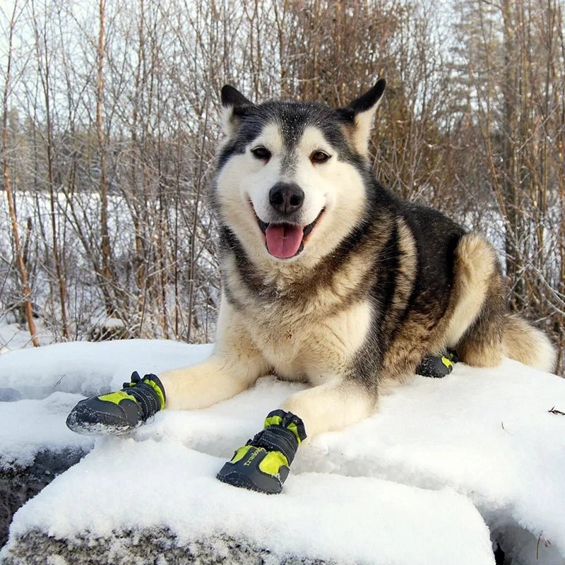 TrueLove Anti-Slip Waterproof Dog Boots TLS3961