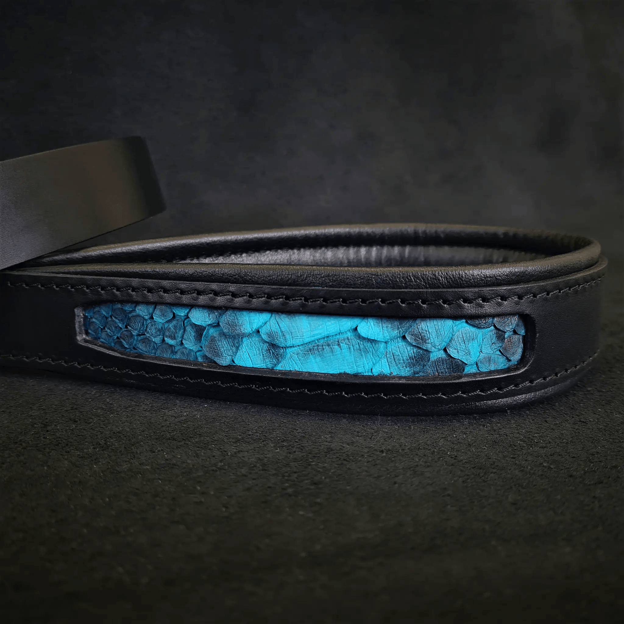 The ''Morelia Python'' leash - Pet Leashes from Bestia Dog Gear