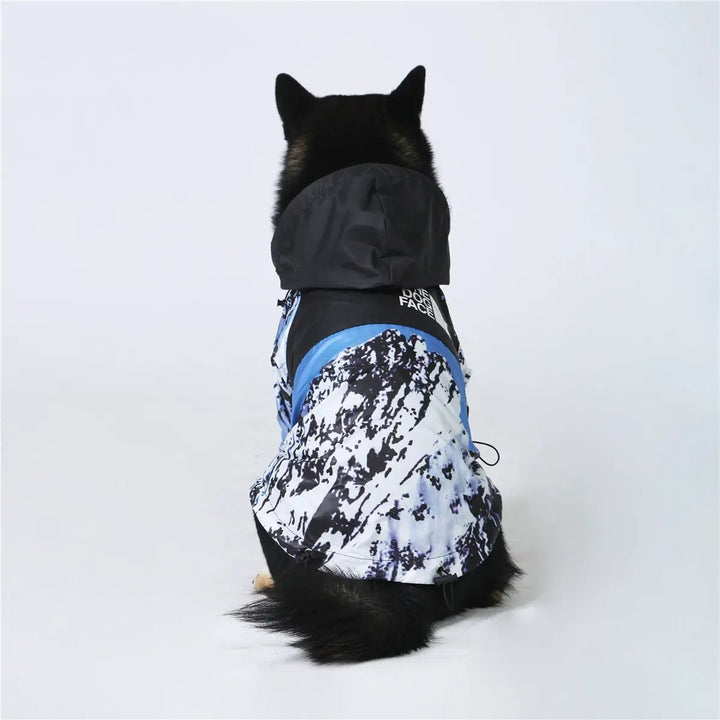 Large dog wearing Windproof And Rainproof Dog Clothes Large Dog Raincoat Dog Pet Shell Jacket in vibrant colors.