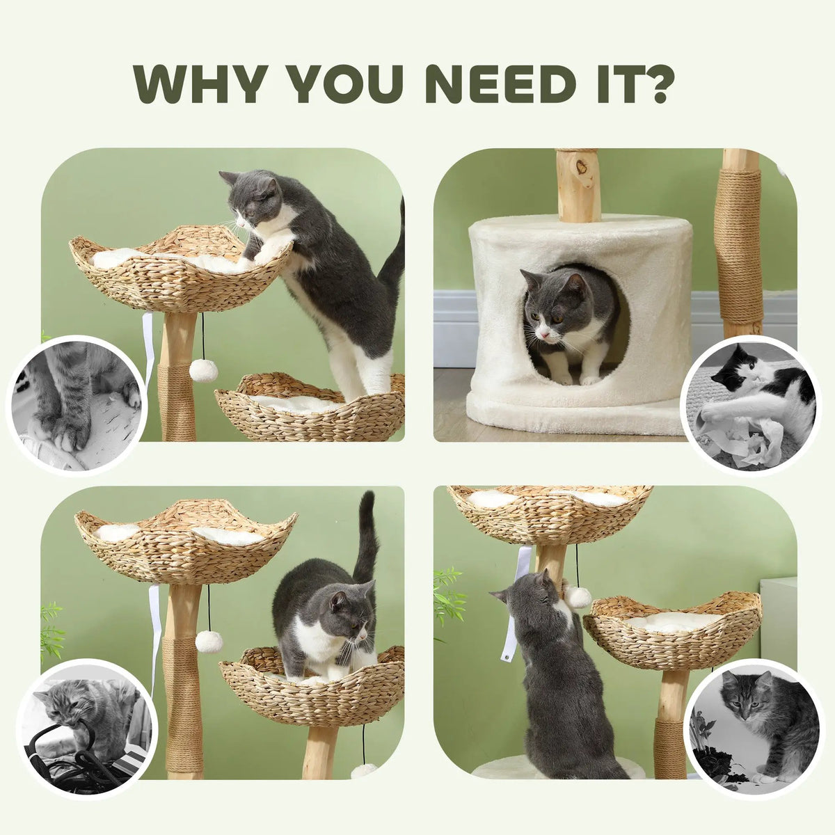 PawHut Woven Nest Cat Tree collage showing a cat climbing, using the condo, standing in a basket bed, and reaching toward a hanging toy.