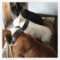 Load image into Gallery viewer, Bestia Custom Dog Gear Stud Collar With Nickel Plated Barrel Studs by Bestia Dog Gear
