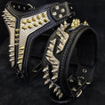 Load image into Gallery viewer, The ''Platinum'' collar - Pet Collars & Harnesses from Bestia Dog Gear
