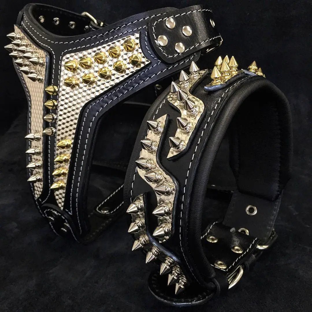 The ''Platinum'' collar - Pet Collars & Harnesses from Bestia Dog Gear