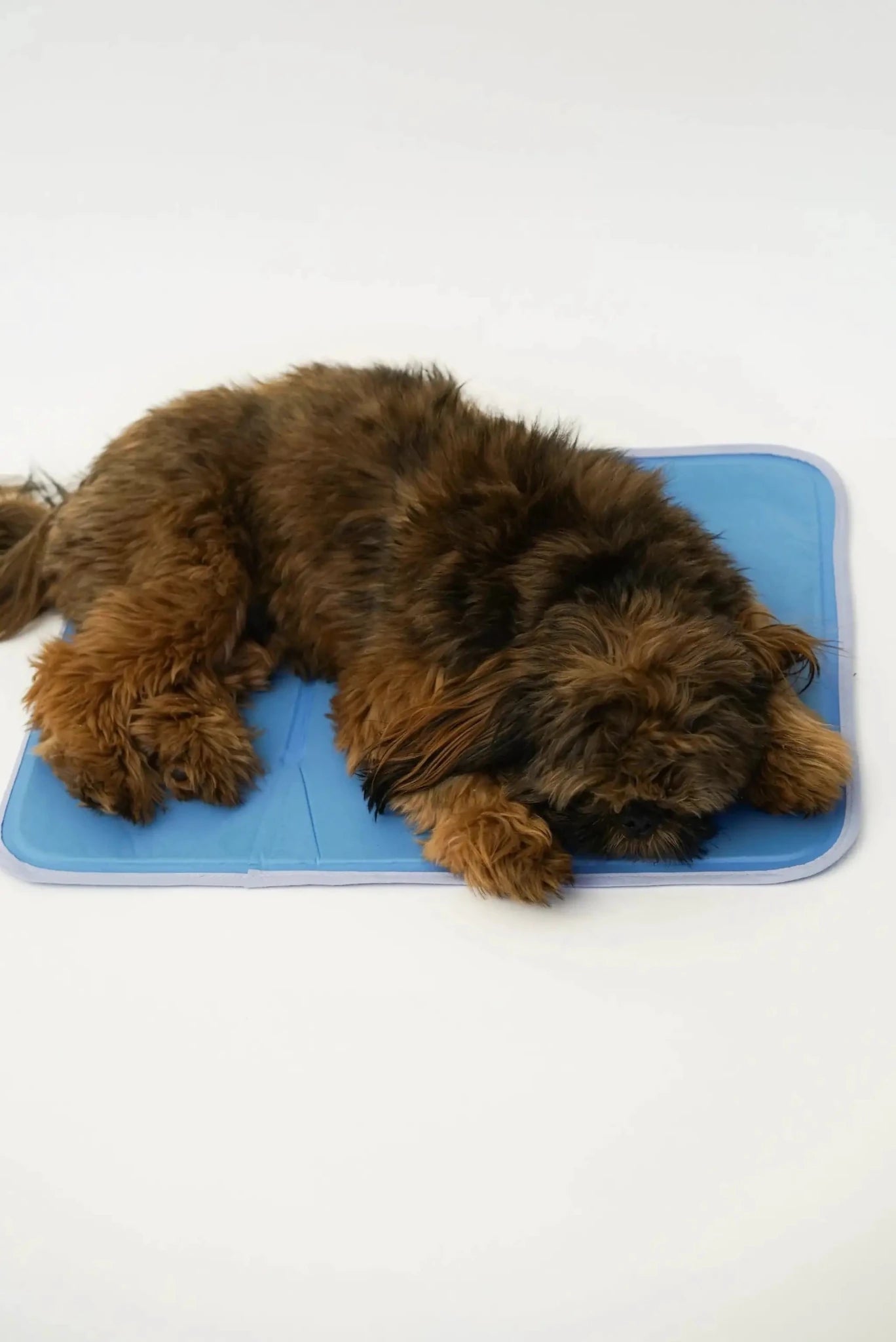 Cool Pet Pad - from The Green Pet Shop