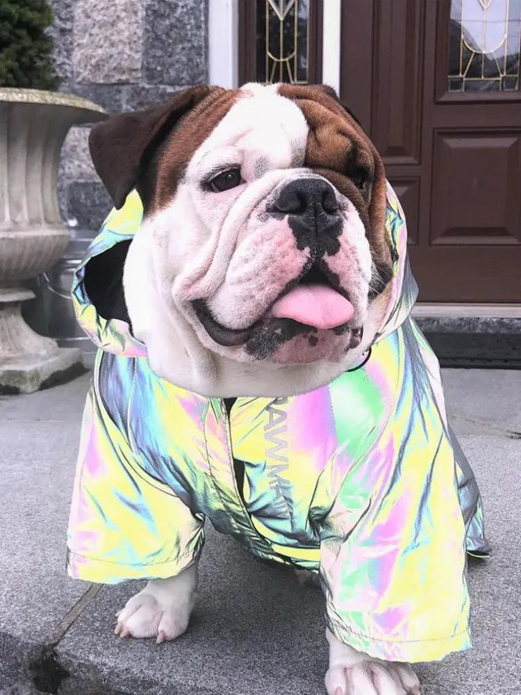 Pet Zen reflective dog coat in iridescent holographic fabric