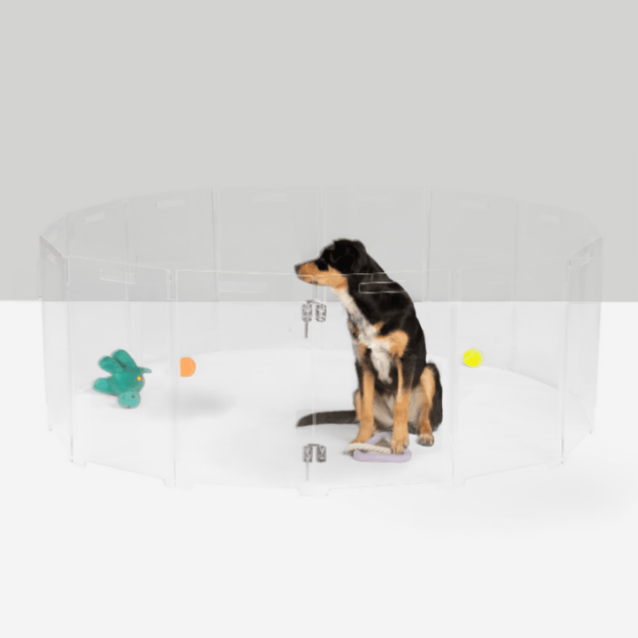 Hiddin Clear Acrylic Round Pet Playpen with Door
