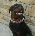 Load image into Gallery viewer, The "Steel" collar - Pet Collars & Harnesses from Bestia Dog Gear
