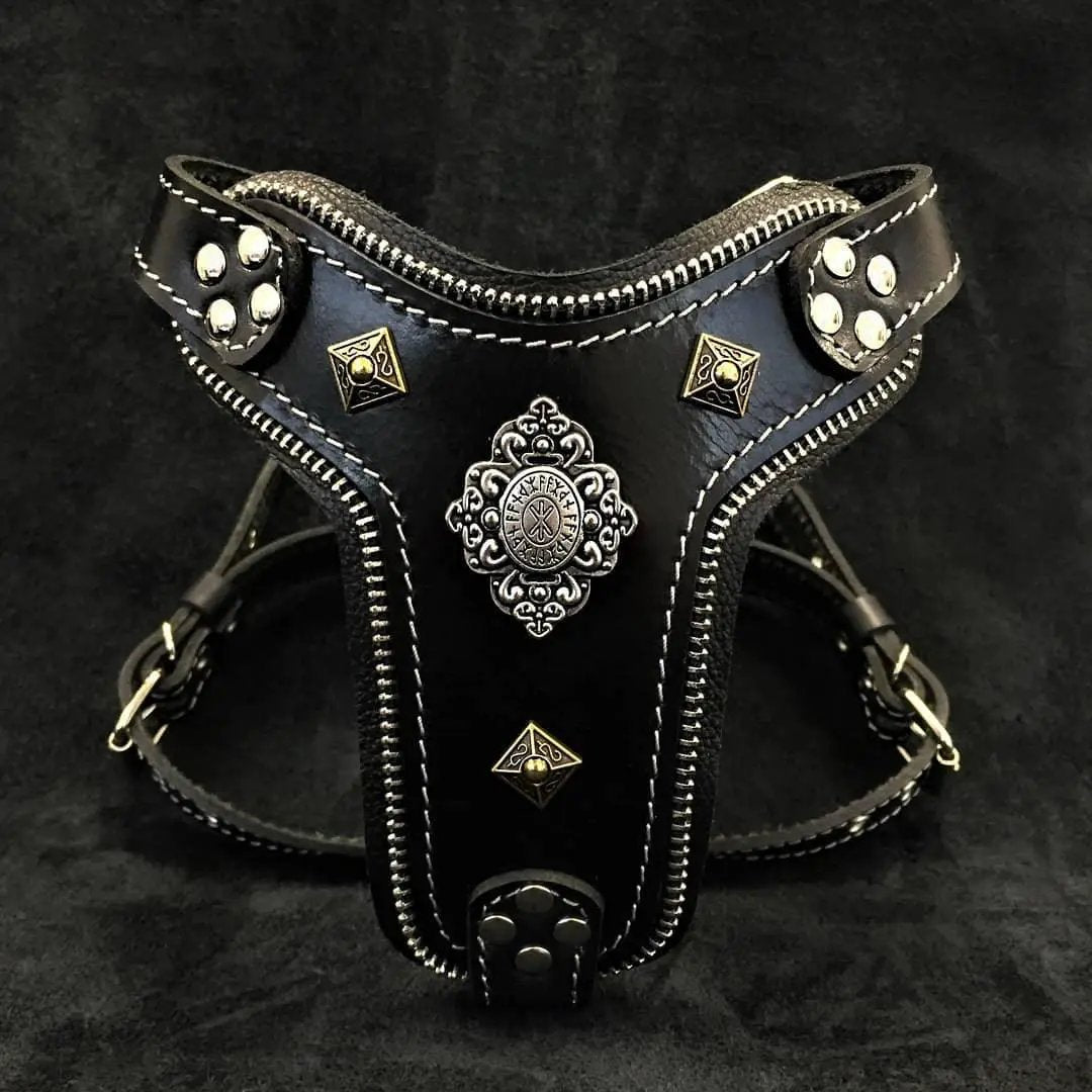 The ''Aztec'' harness Black Small to Medium Size - Pet Collars & Harnesses from Bestia Dog Gear