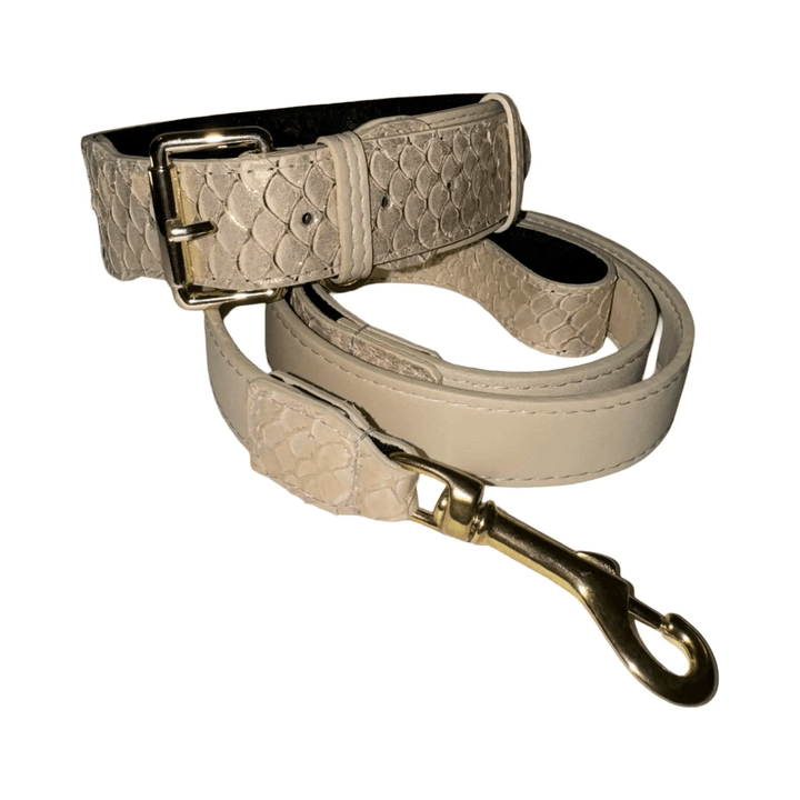 Hollywood Glam Classic Collar by Allysa Payne Beverly Hills, beige faux snakeskin with gold hardware.