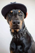 Carica l'immagine nel visualizzatore della galleria, BESTIA Black Giant Dog Collar For Large Breeds Durable Soft Lining by Bestia Dog Gear
