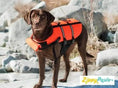 Load image into Gallery viewer, Adventure Dog Life Jacket, ZippyPaws logo visible, bright orange dog life vest with black straps on a brown dog outdoors
