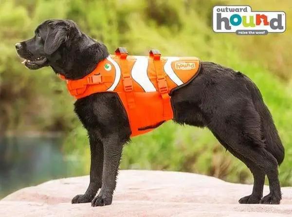 Fun Fish Dog Life Jacket by Outward Hound in bright orange with white stripes.