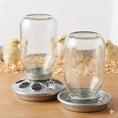 Cargar la imagen en la vista de la galería, PoultryPro Galvanized Mason Jar Baby Chick Feeder And Waterer Set With Glass Jars For Brooder Use by Paw and Tail Supply
