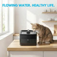 Bild in Galerie-Betrachter laden, Ultra Silent Circulating Pet Drinking Fountain, 3800ML USB powered, black plastic for cats and dogs
