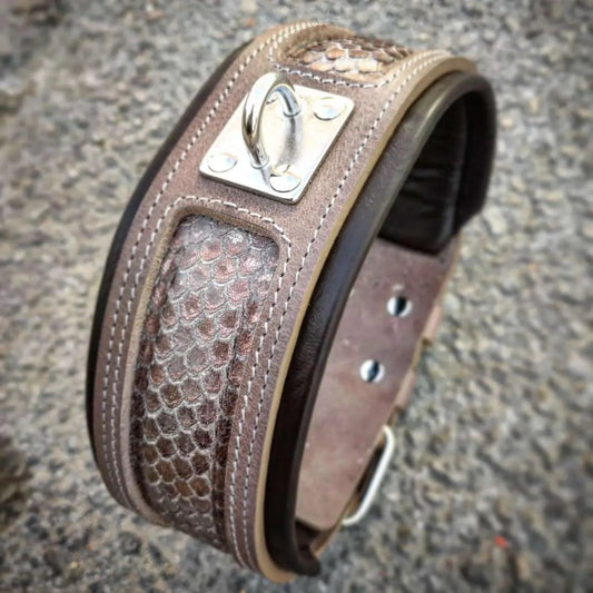 The ''Python'' exclusive design - Pet Collars & Harnesses from Bestia Dog Gear