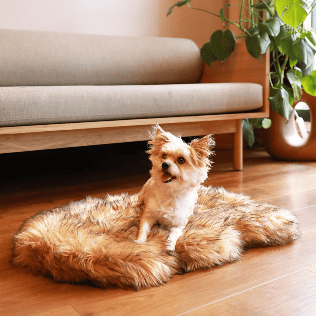 Paw.com PupRug Faux Fur Orthopedic Dog Bed, Curve Sable Tan
