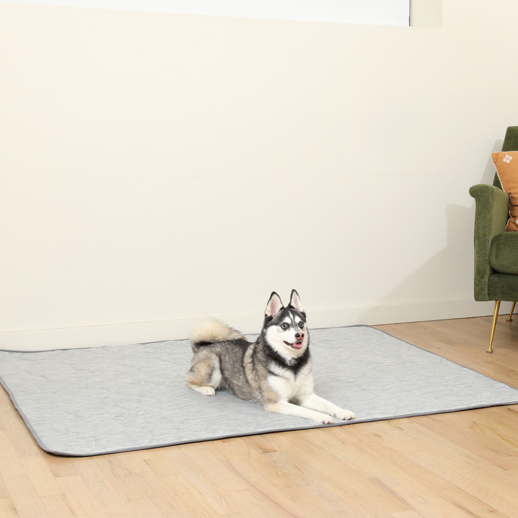 PupChill Cooling Waterproof Blanket Arctic Grey by Paw.com; gray pet mat with two dogs lounging.