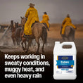 Load image into Gallery viewer, Farnam Endure Sweat-Resistant Fly Spray for Horses Water-Based 14-Day Protection Gallon by Paw and Tail Supply
