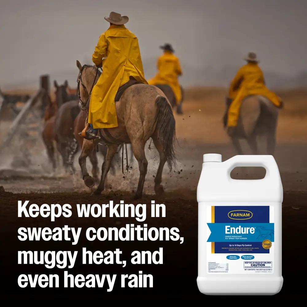 Farnam Endure Sweat-Resistant Fly Spray for Horses Water-Based 14-Day Protection Gallon by Paw and Tail Supply
