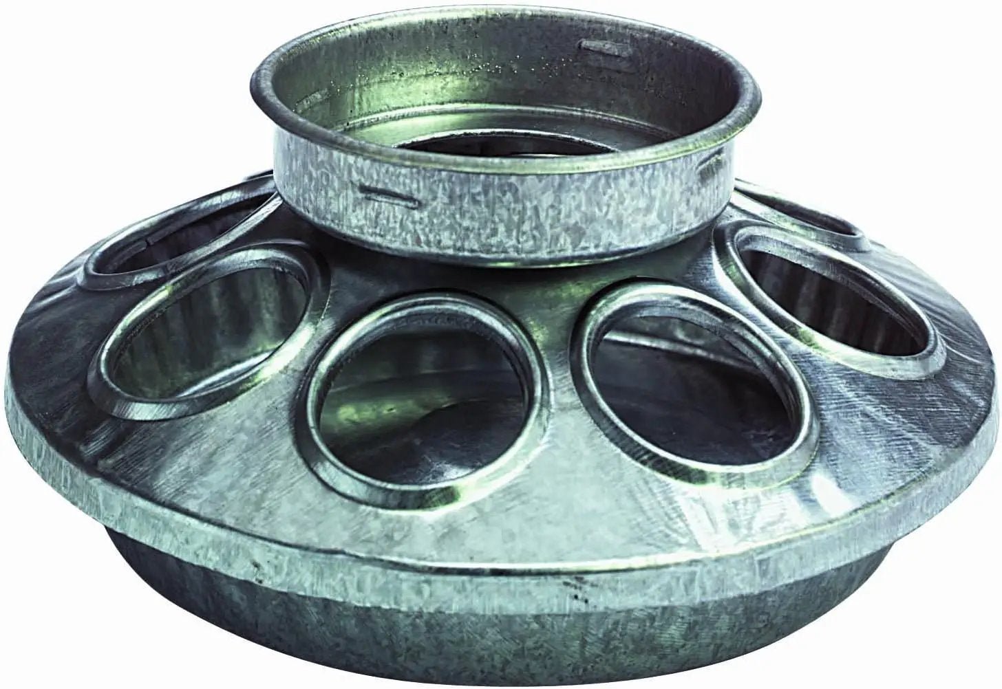 PoultryPro Galvanized Mason Jar Baby Chick Feeder And Waterer Set With Glass Jars For Brooder Use by Paw and Tail Supply