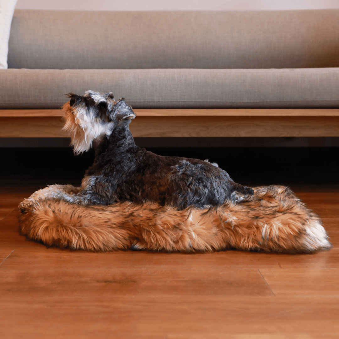 Paw.com PupRug Faux Fur Orthopedic Dog Bed, Curve Sable Tan