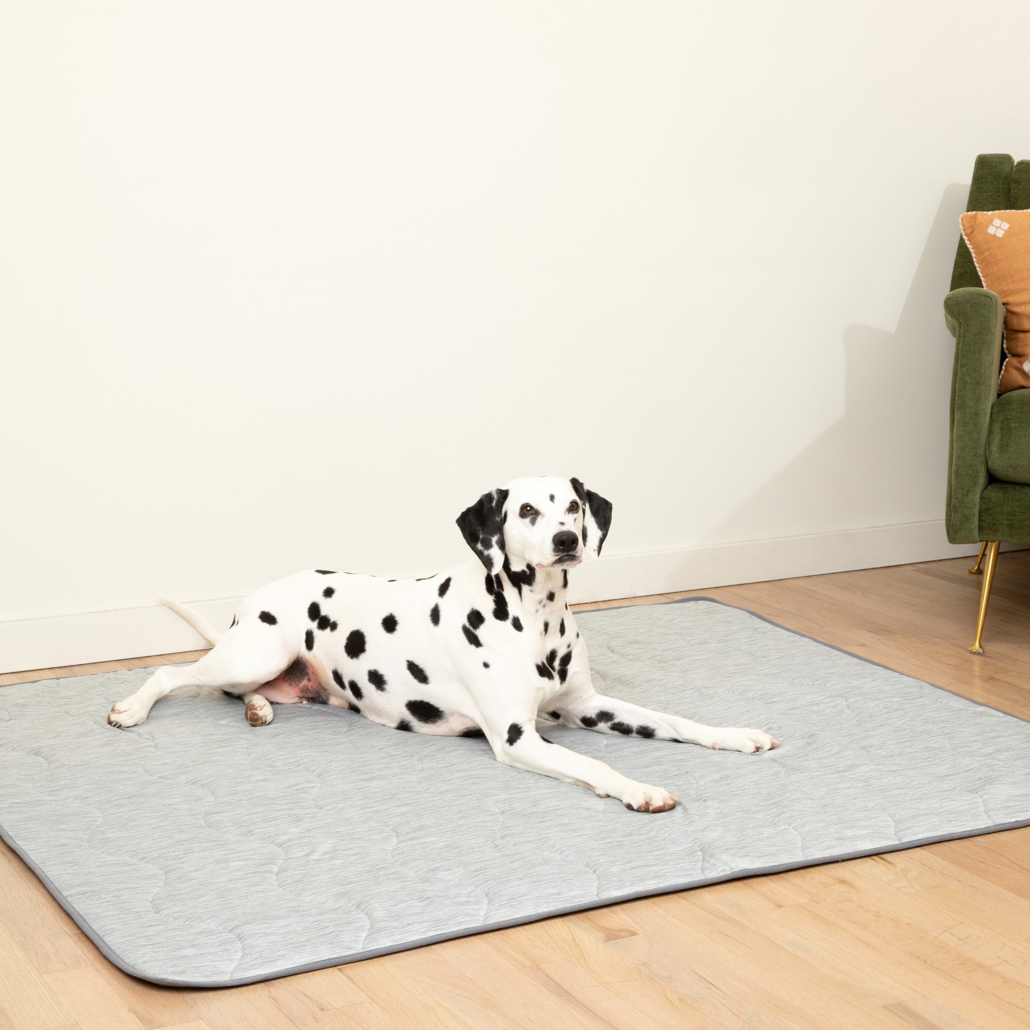 PupChill™ Cooling Waterproof Blanket - Arctic Grey on a grey quilted rug with two Dalmatian dogs.