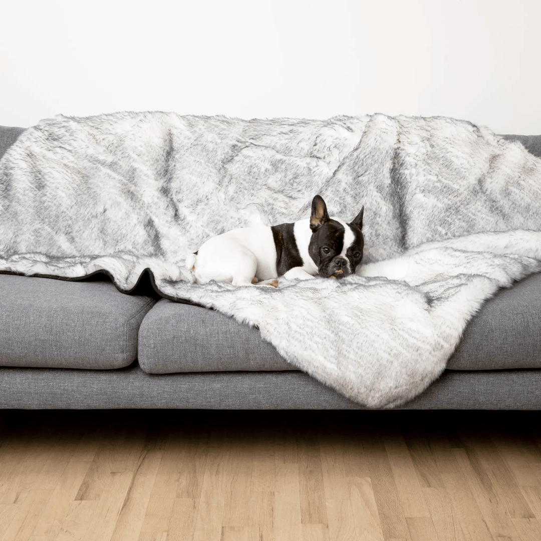PupProtector Luxe Waterproof Faux Fur Blanket in gray Arctic Fox fur on a sofa with a resting dog.