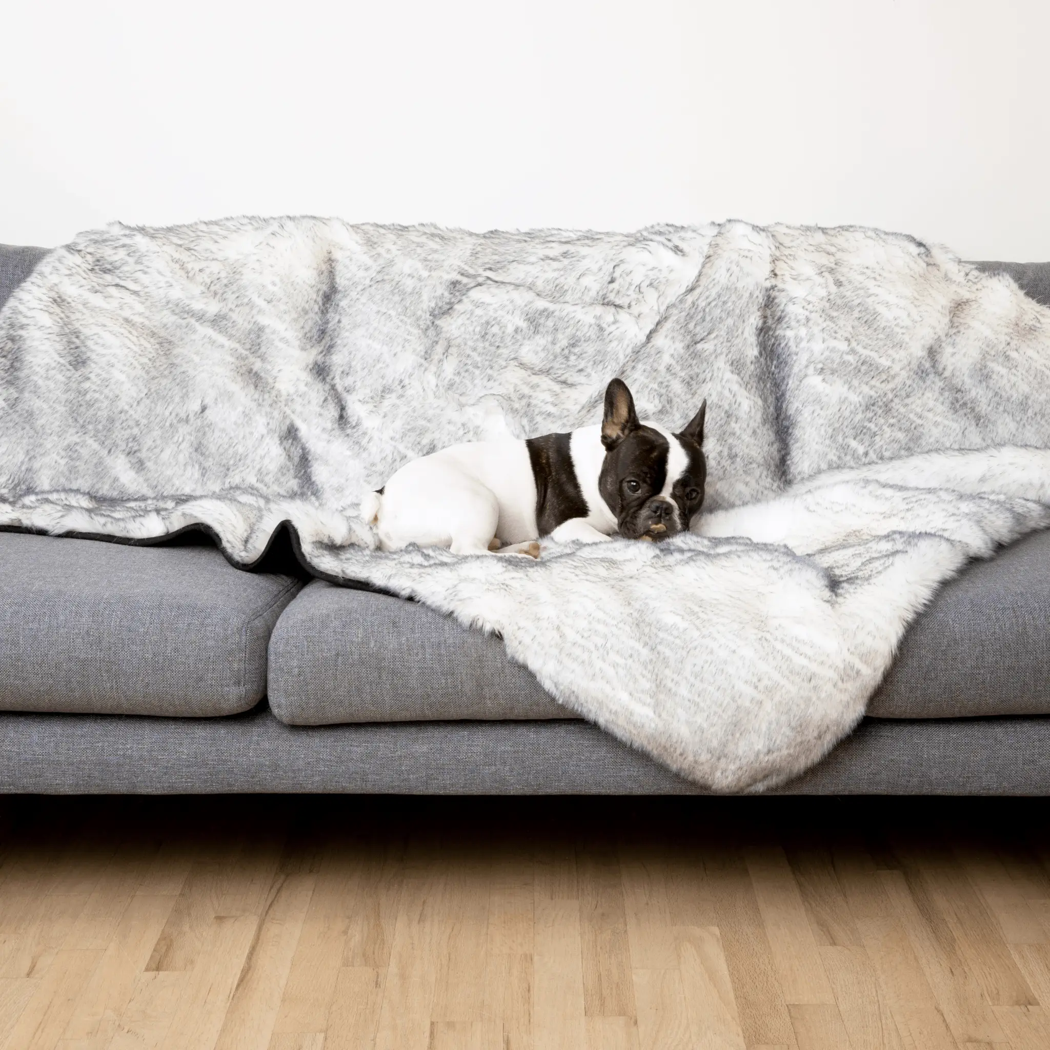 PupProtector Luxe Waterproof Faux Fur Blanket in gray Arctic Fox fur on a sofa with a resting dog.