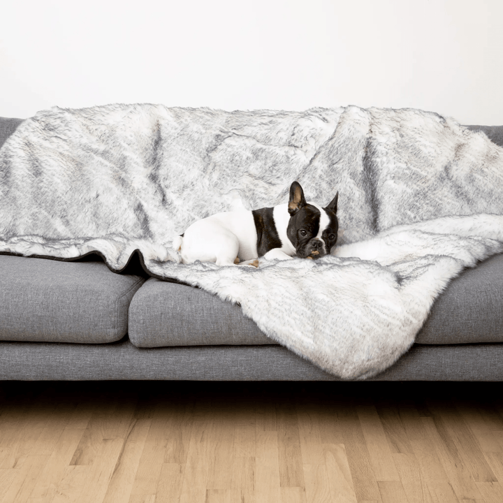 PupProtector Luxe Waterproof Faux Fur Blanket in gray Arctic Fox fur on a sofa with a resting dog.