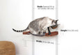 Charger l'image dans la visionneuse de la galerie, Cat Hammock by Catastrophic Creations, wall-mounted raised cat furniture with wooden base and metal bowl.
