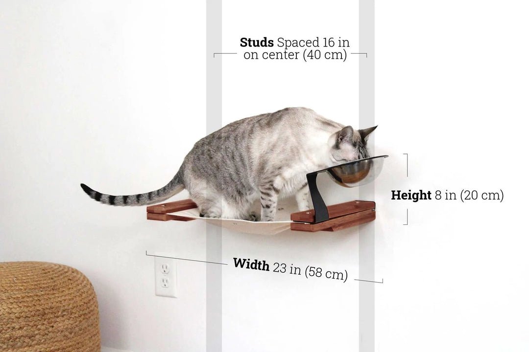 Cat Hammock dog-proof feeder, wall-mounted raised, wooden platform by Catastrophic Creations