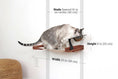 Charger l'image dans la visionneuse de la galerie, Cat Hammock dog-proof feeder, wall-mounted raised, wooden platform by Catastrophic Creations
