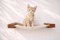 Load image into Gallery viewer, Hanging Cat Bed Hammock, beige fabric with wooden ends and a kitten resting inside.
