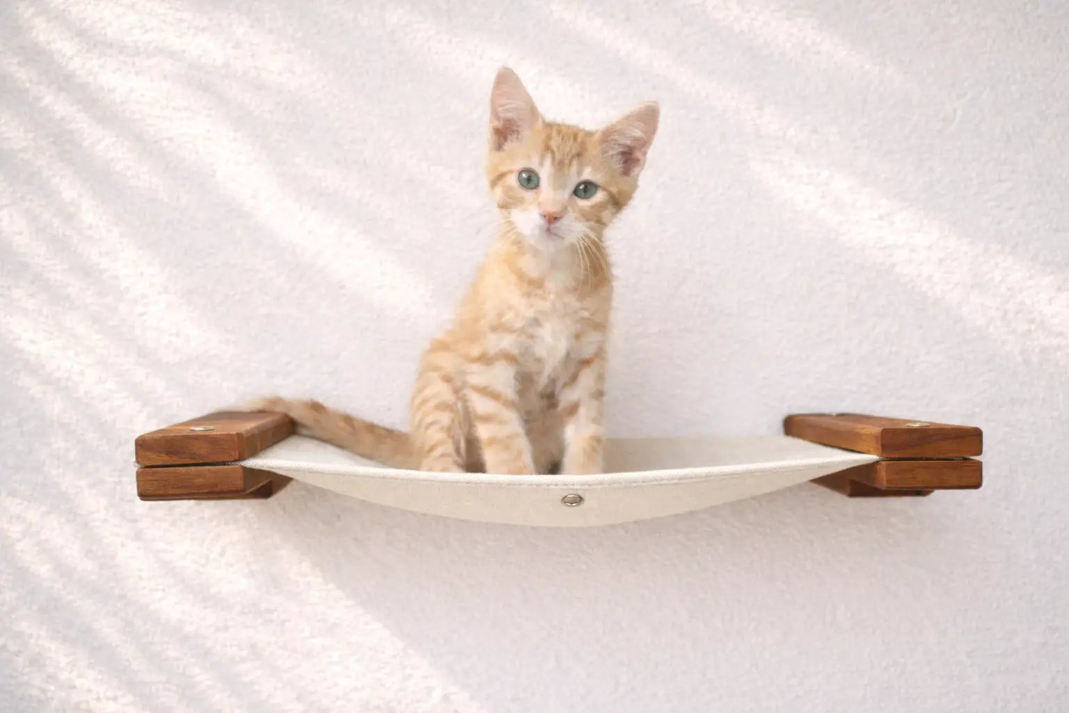 Hanging Cat Bed Hammock, beige fabric with wooden ends and a kitten resting inside.