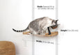 Charger l'image dans la visionneuse de la galerie, Dog Proof Cat Feeder wall-mounted raised cat hammock by Catastrophic Creations, natural wood platform with bowl.
