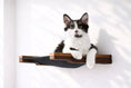 Load image into Gallery viewer, Hanging Cat Bed Hammock by Catastrophic Creations on a wooden frame with black fabric
