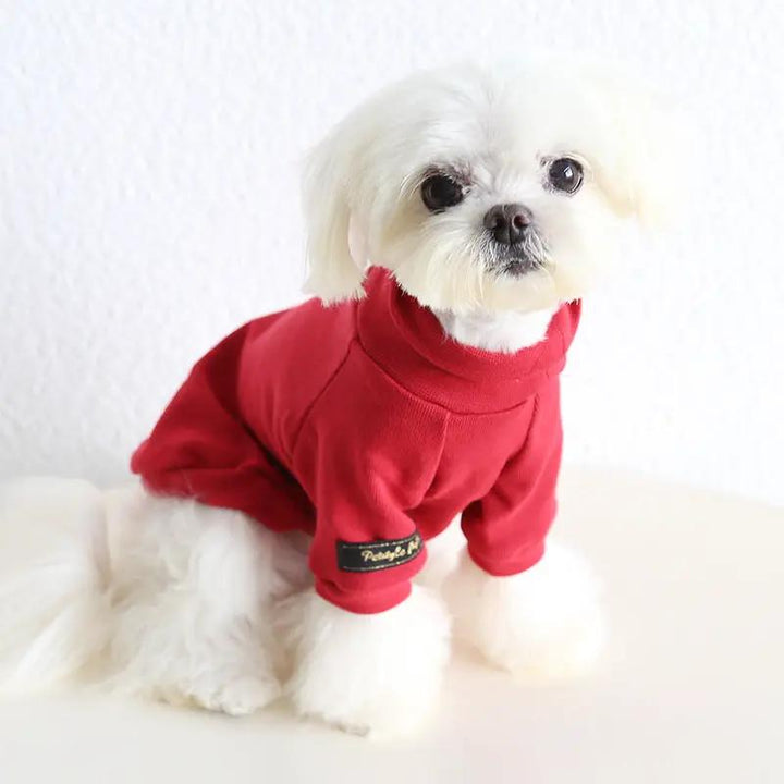 Small Dog Spring Solid Color Two-Legged Sweater by SOCKPET in red.