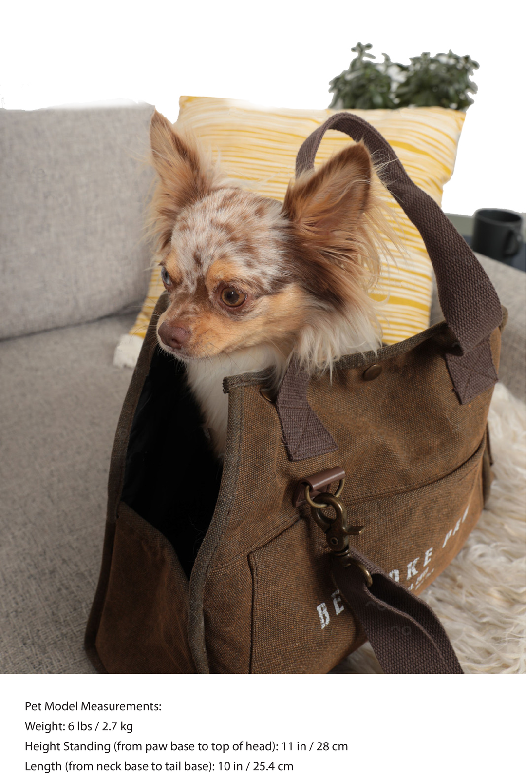 Bespoke Paws Daily Carrier, Packable Pet Carrier