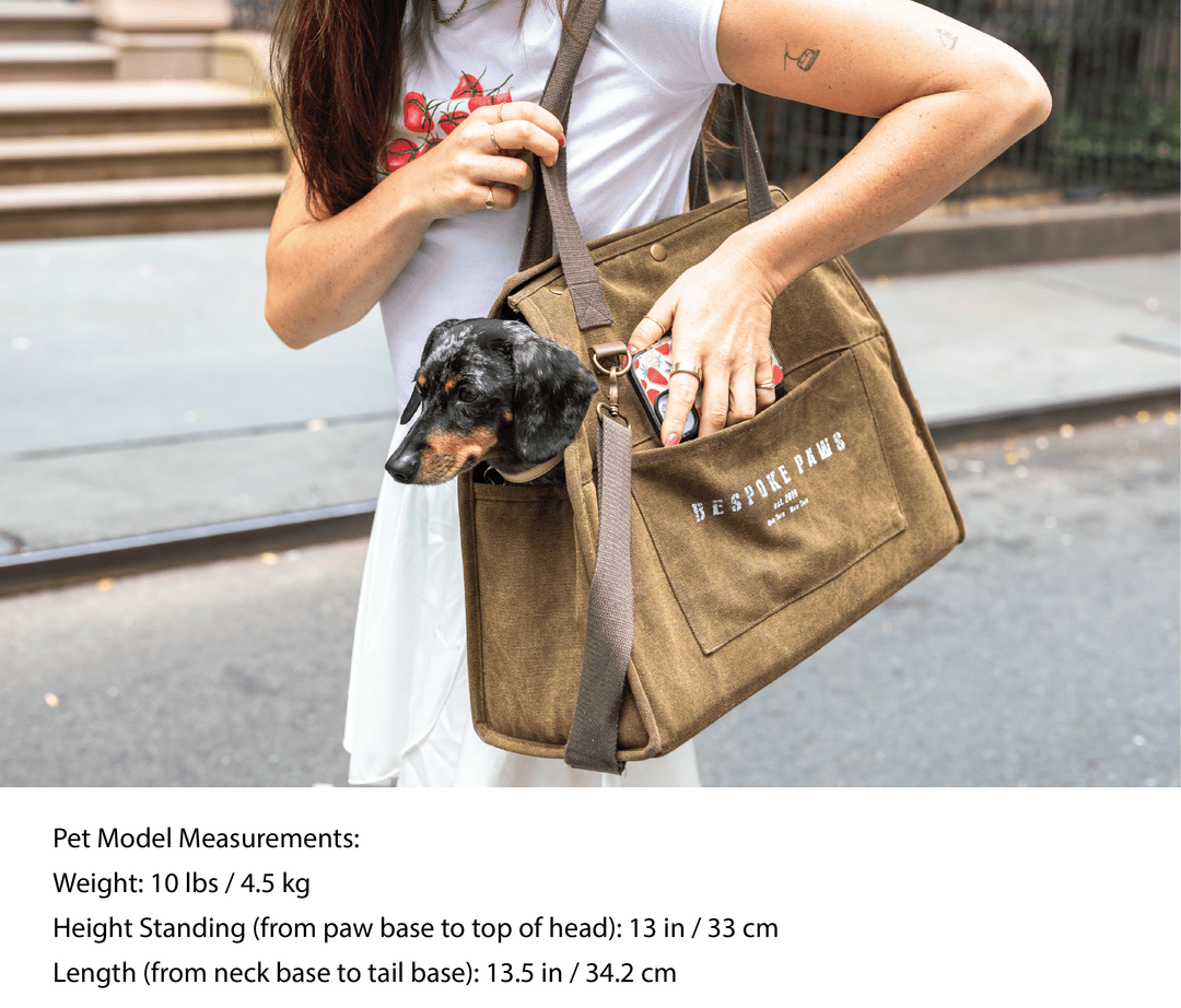 Bespoke Paws Daily Carrier, Packable Pet Carrier