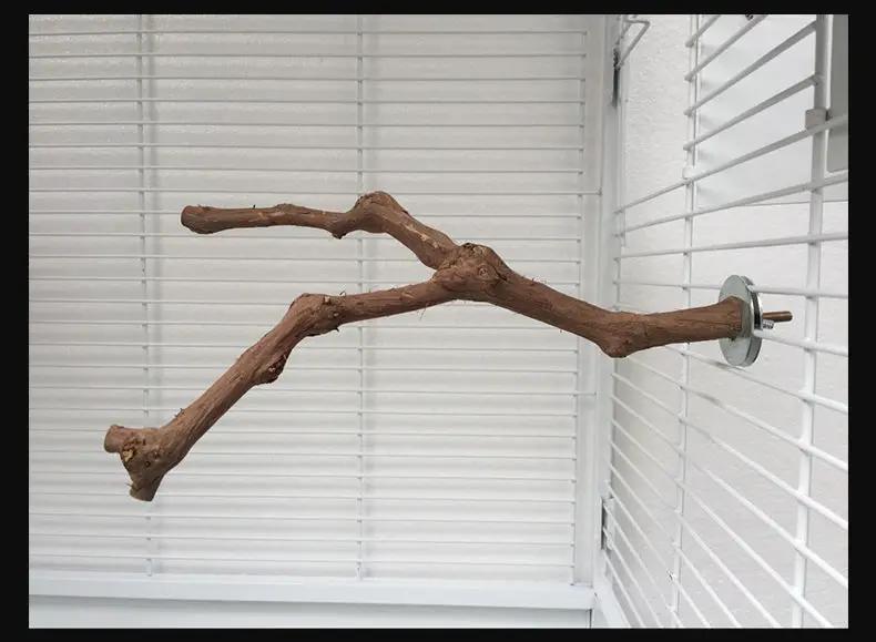 Premium Natural Grapevine Bird Perch And Climbing Branch Wood Toy by Sell My Stuff