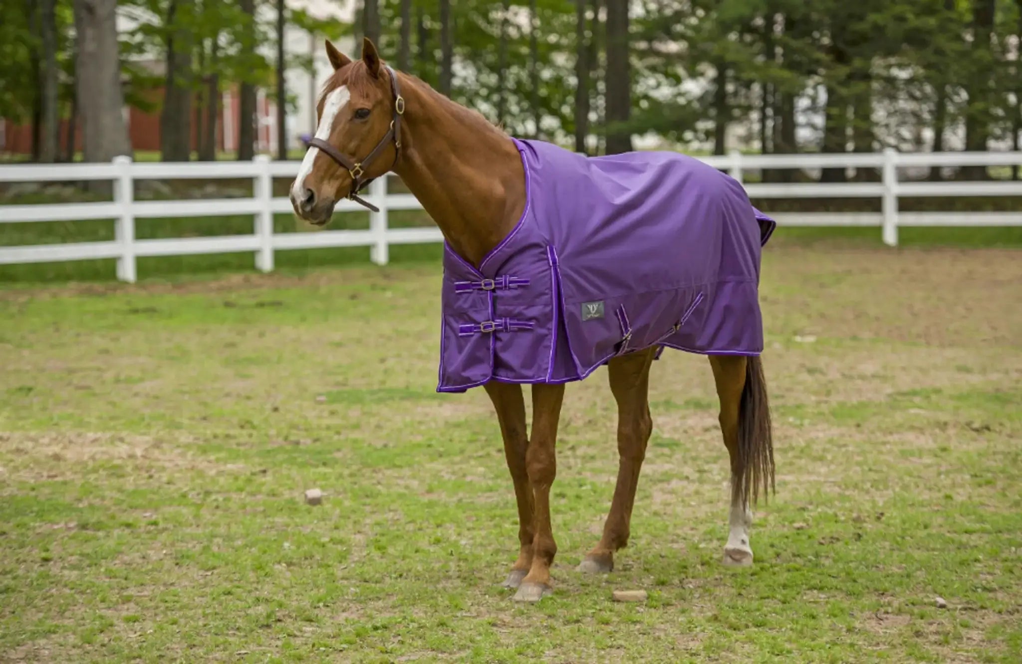 TuffRider 1600 D Super Comfy Standard Neck Blanket - from JPC Equestrian